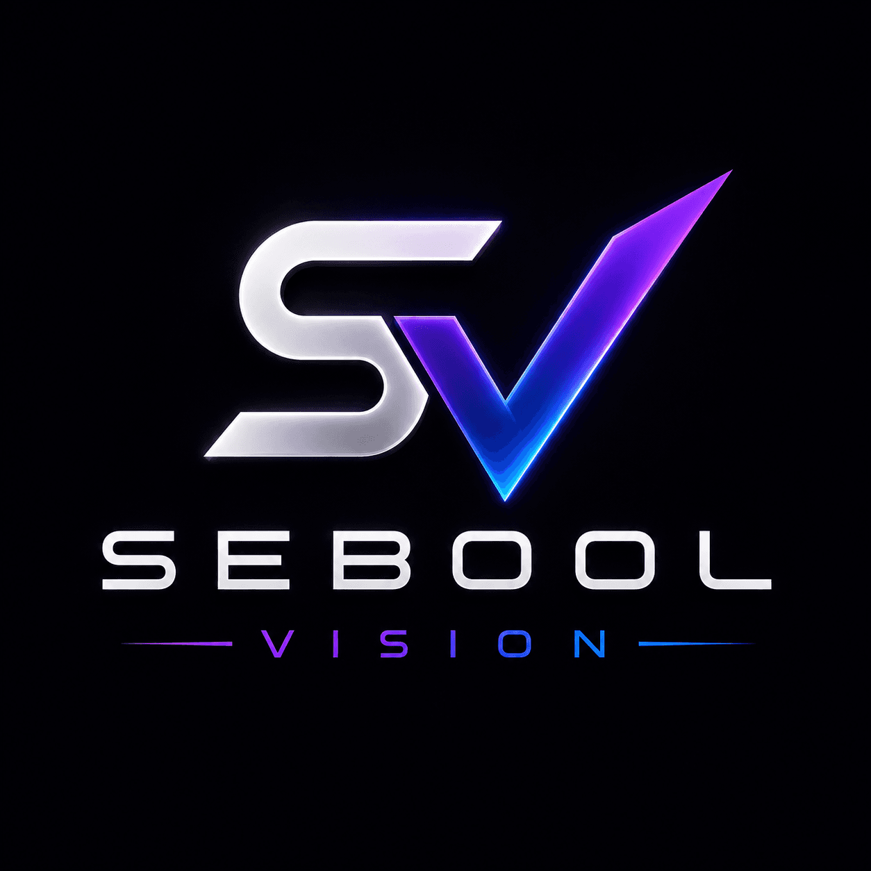 Sebool Vision logo